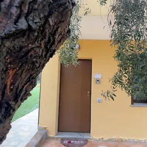Oleandri - Oleandro Bianco - SantʼAnna Arresi